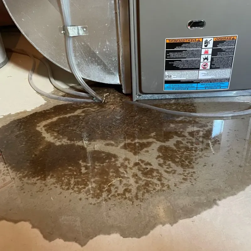 Pipe Burst and Leak Restoration in New Whiteland, IN