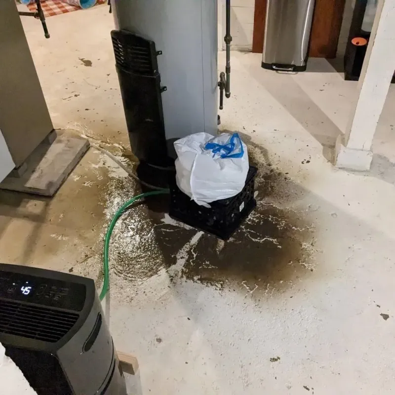 Sewage Backup Cleanup Service in New Whiteland, IN